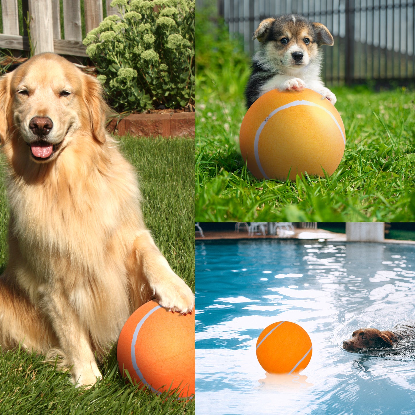 Banfeng Big Tennis Ball for Dogs, Giant Dog Tennis Ball Toy Large Outdoor Sports Gift for Small Medium Large Dog (Orange, 9.5 inch)