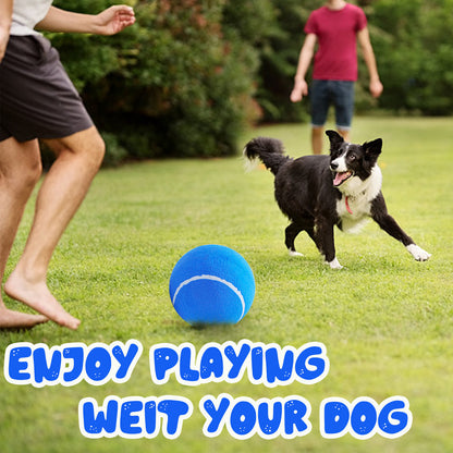 Banfeng Big Tennis Ball for Dogs, Giant Dog Tennis Ball Toy Large Outdoor Sports Gift for Small Medium Large Dog (Blue, 9.5 inch)