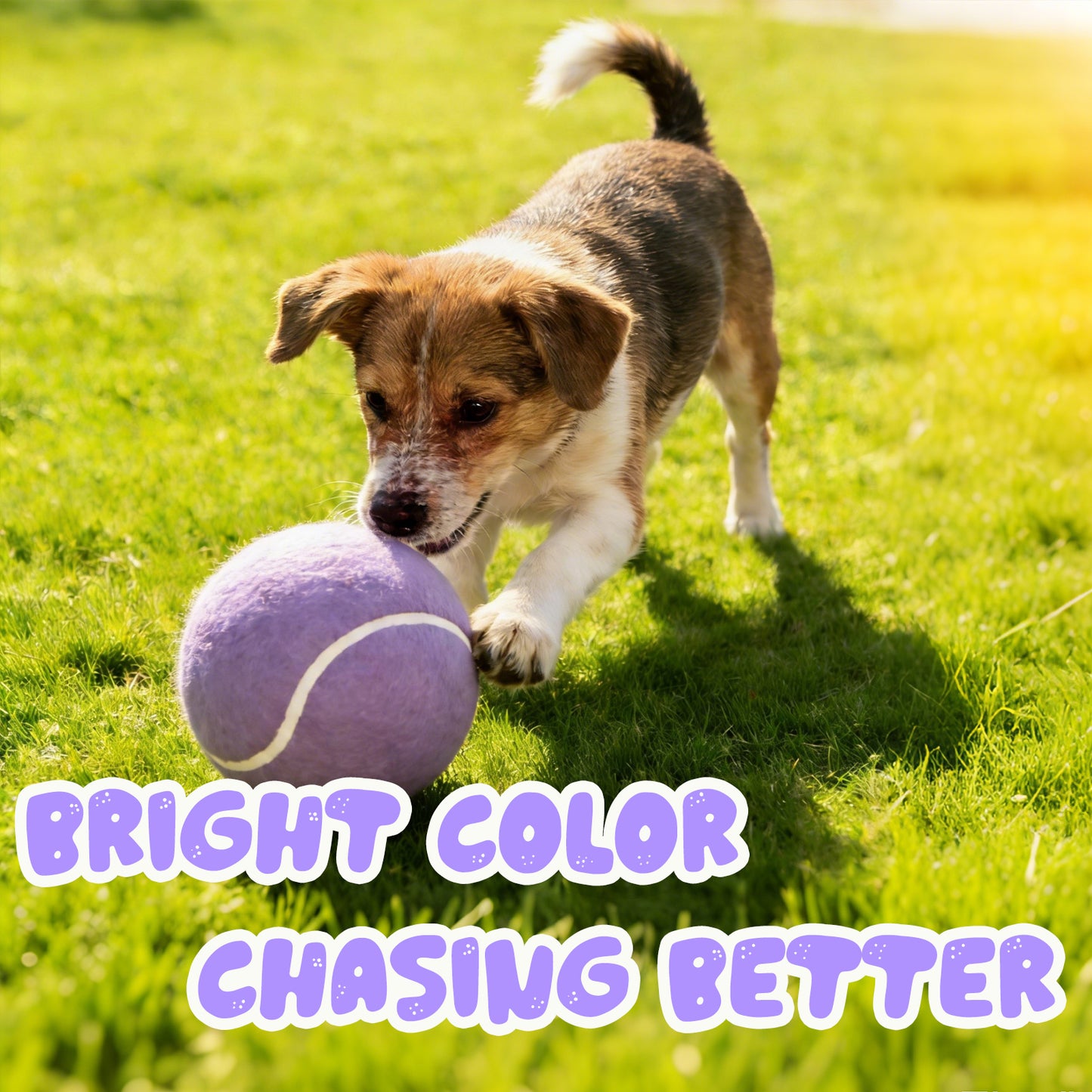 Banfeng Big Tennis Ball for Dogs, Giant Dog Tennis Ball Toy Large Outdoor Sports Gift for Small Medium Large Dog (Light Purple, 9.5 inch)