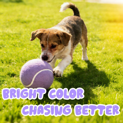 Banfeng Big Tennis Ball for Dogs, Giant Dog Tennis Ball Toy Large Outdoor Sports Gift for Small Medium Large Dog (Light Purple, 9.5 inch)