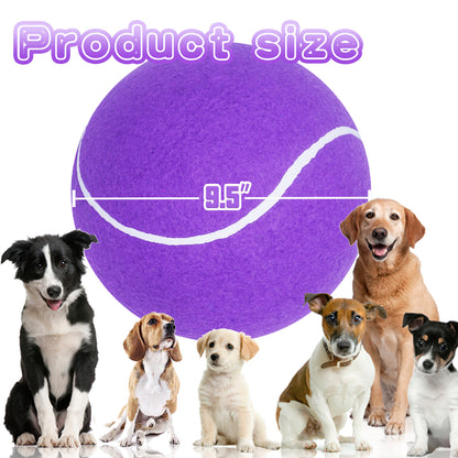 Banfeng Big Tennis Ball for Dogs, Giant Dog Tennis Ball Toy Large Outdoor Sports Gift for Small Medium Large Dog (Purple, 9.5 inch)